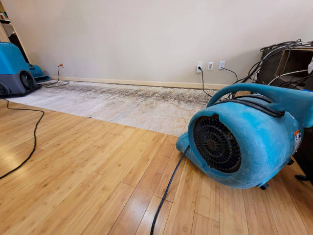 Professional Burst Pipe Water Damage technician working in DeForest, WI